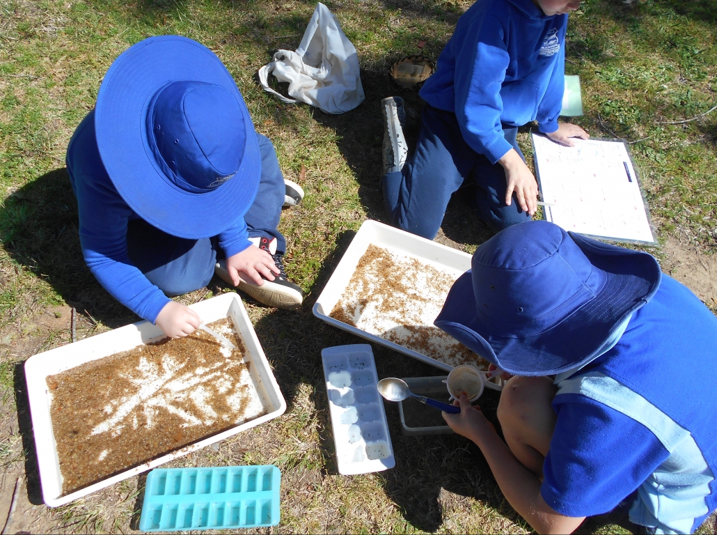 Waterbug Survey 2016