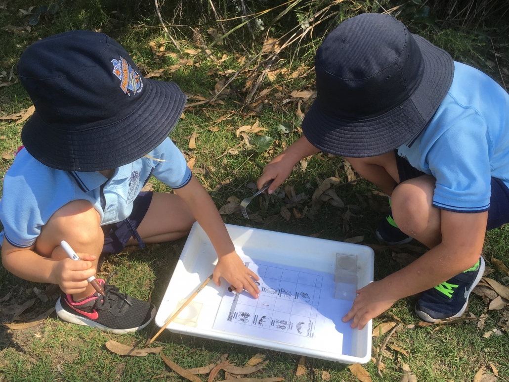 students identifying animals using external features