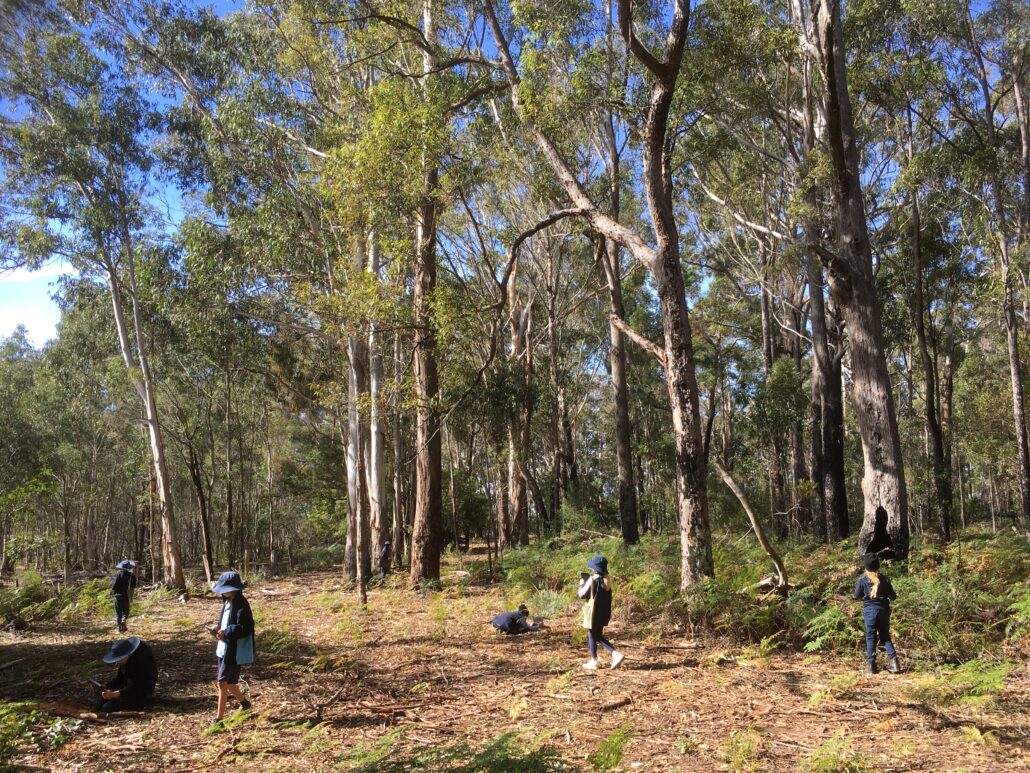 Students exploring Bournda National Park