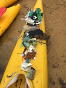 Litter from Bournda Lagoon