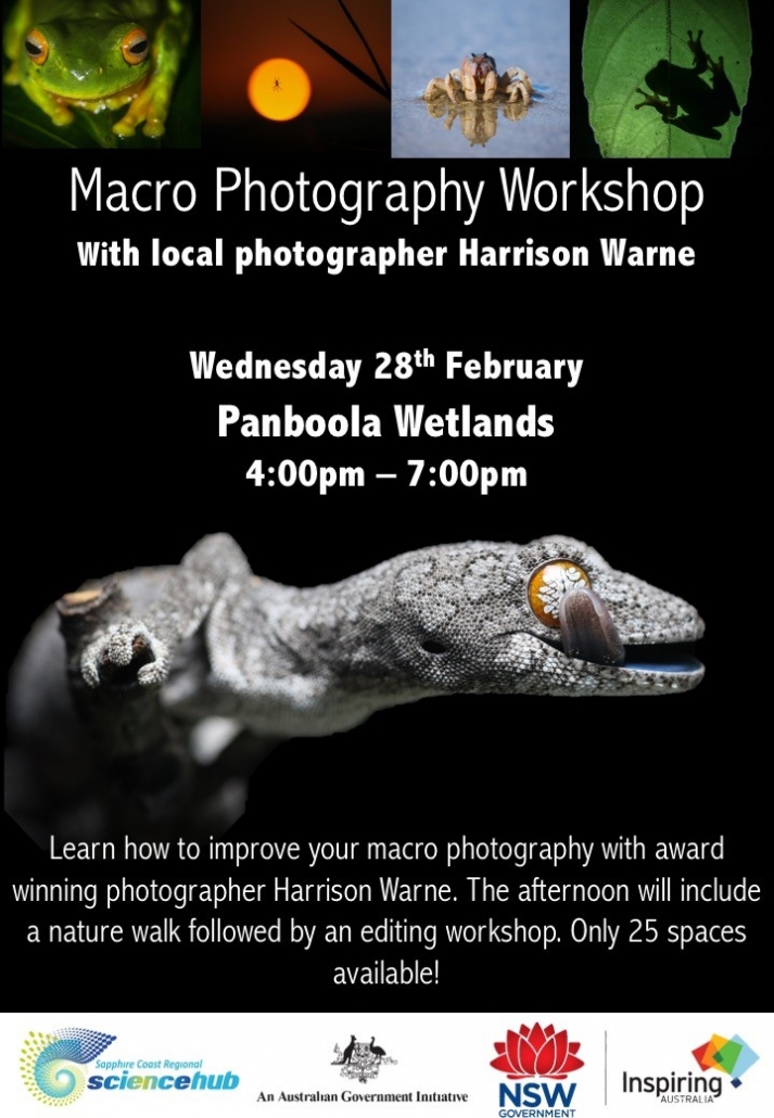 Flyer for photography workshop