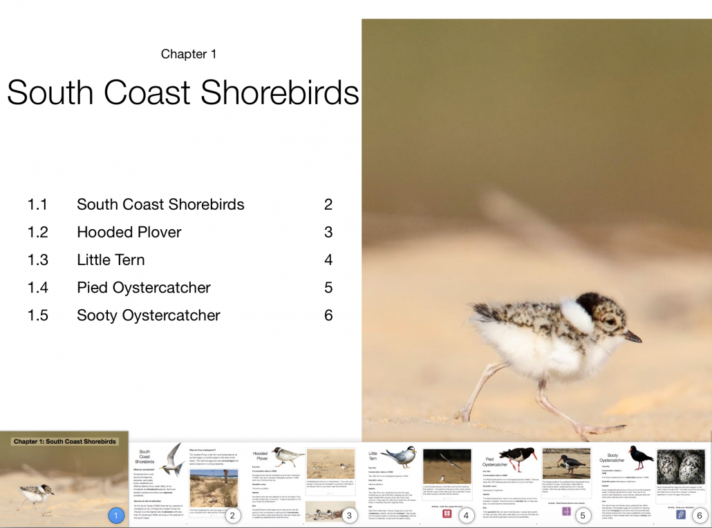 Screen shot of Saving our Shorebirds iBook