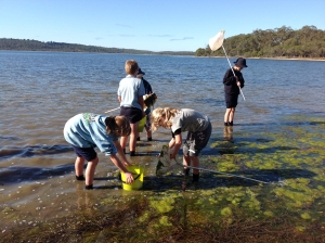 Students surveying biodiversity in Wallagoot Lake