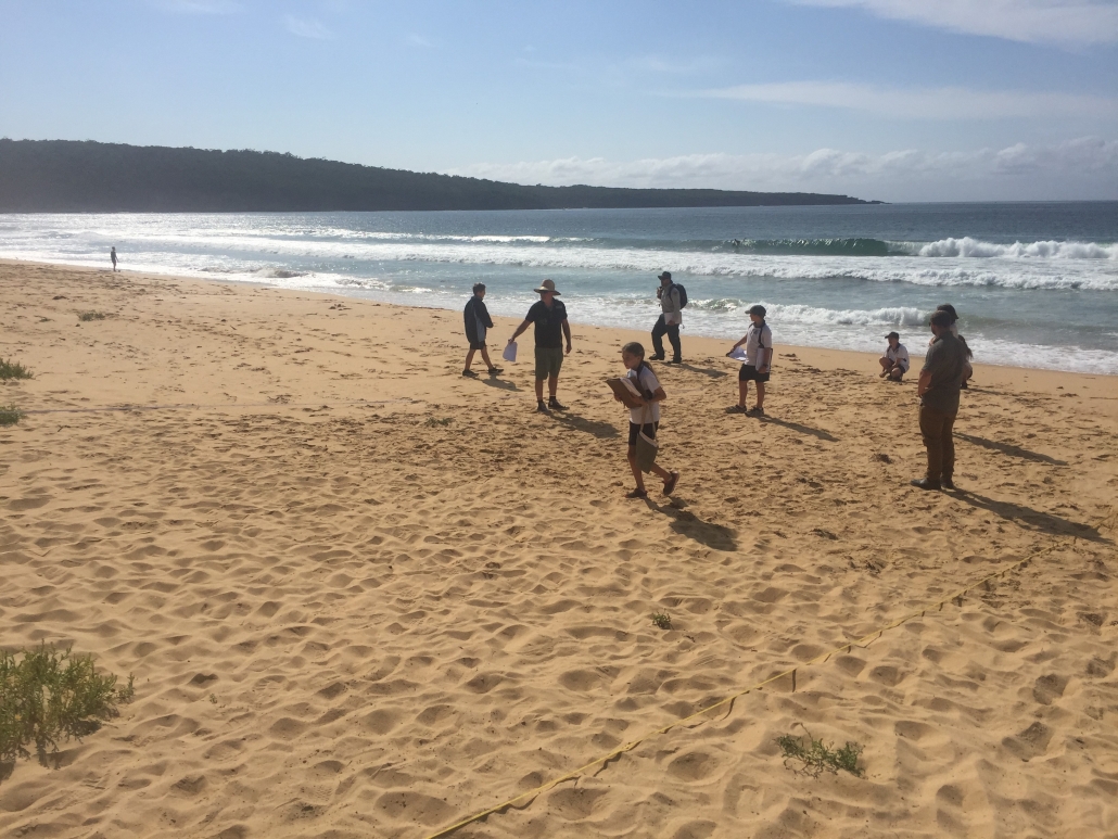 students on the beach