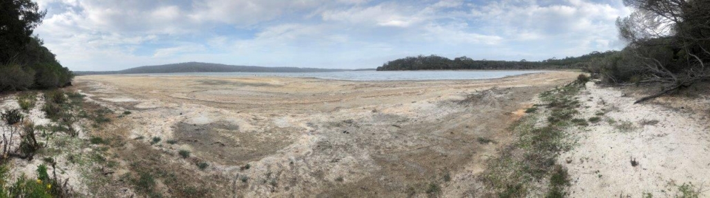 Wallagoot Lake shoreline January 2020